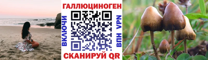 купить наркотики цена  Чадан  Галлюциногенные грибы прущие грибы 